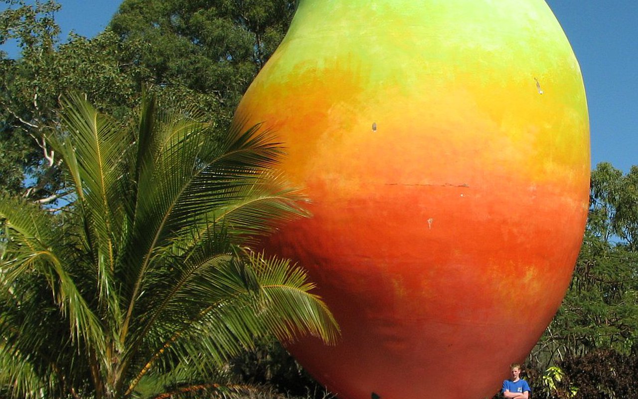 AWAYN IMAGE The Big Mango