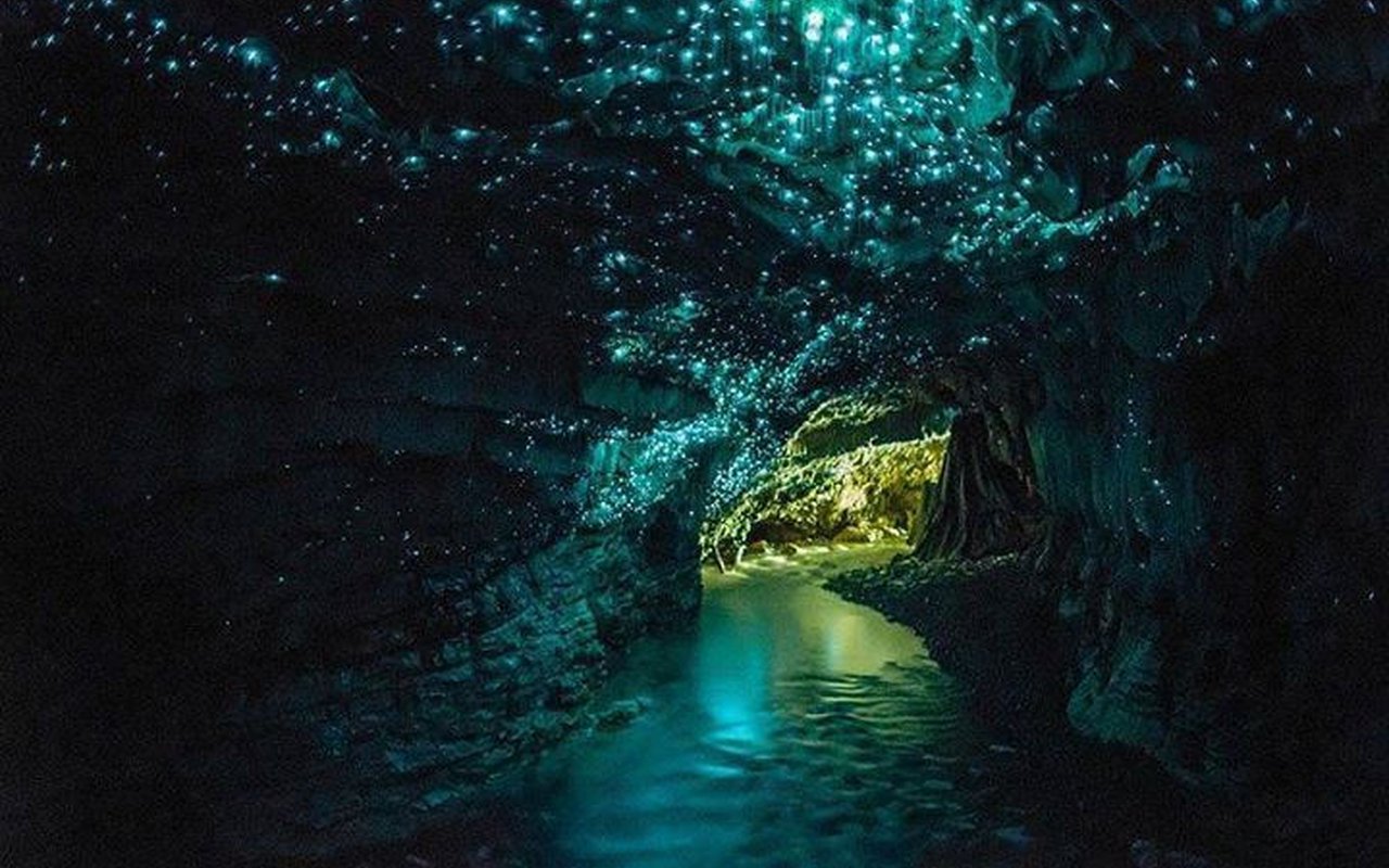 AWAYN IMAGE Walk around the Waitomo Glow Worm Caves