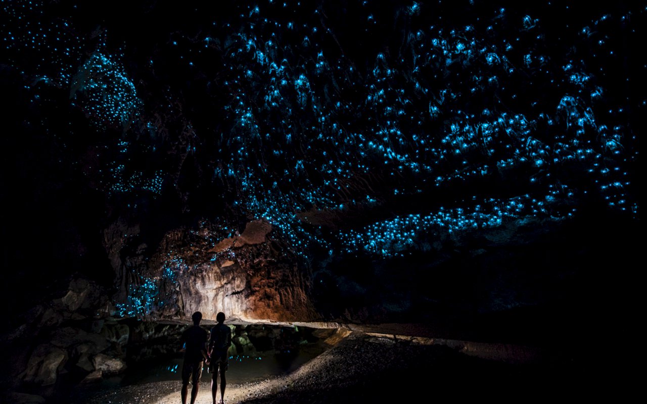 AWAYN IMAGE Walk around the Waitomo Glow Worm Caves
