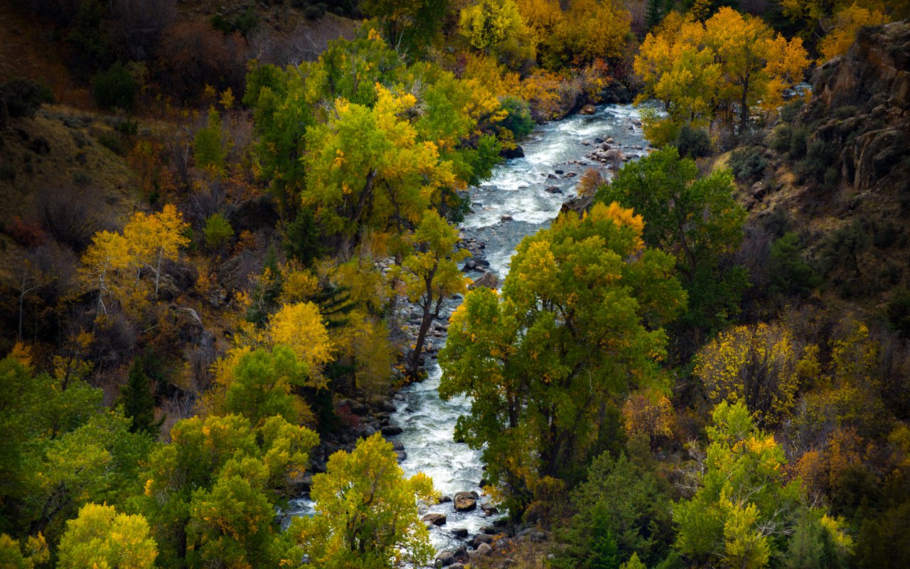 AWAYN IMAGE Shoshone Falls