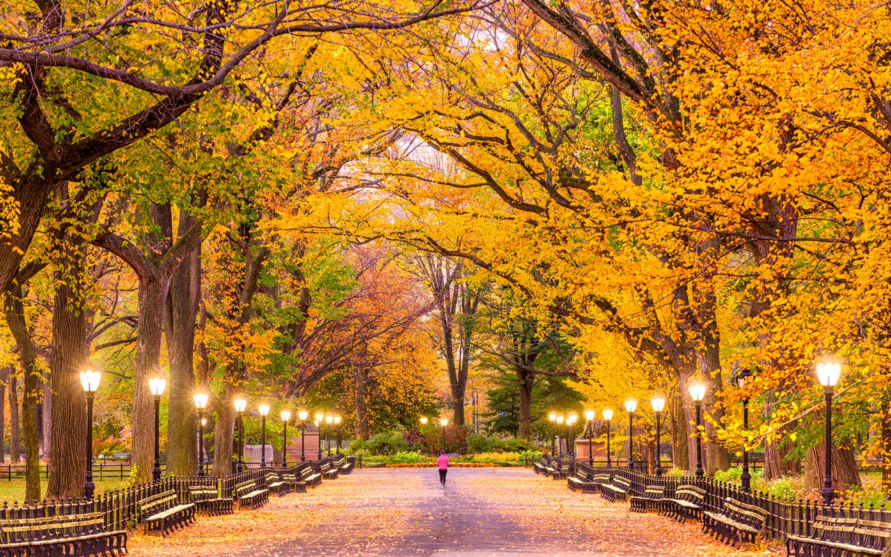 AWAYN IMAGE Run/ Walk Manhattan: Central Park Trail