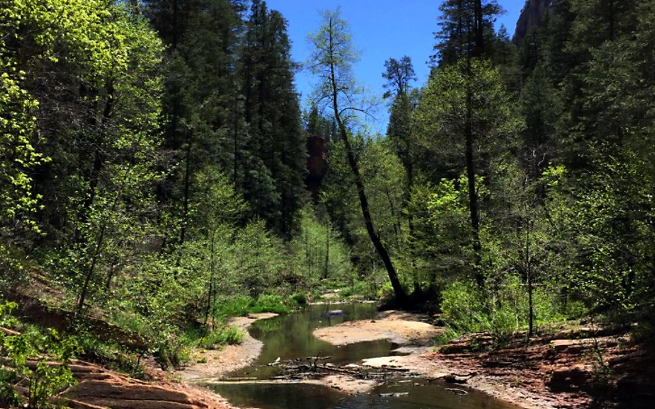 AWAYN IMAGE West Fork Oak Creek Trail